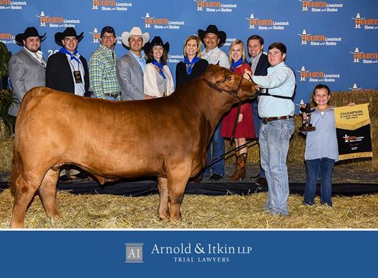 The Houston Livestock Show and Rodeo